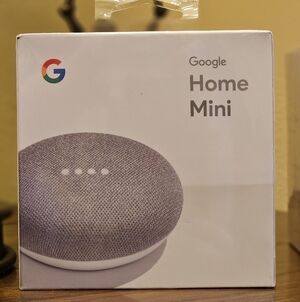 NWT Google Home Mini